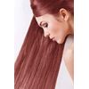 29 Sanotint Classic Dark Copper Blonde