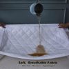 AIMS Waterproof Quilted Mattress Protector Fitted Cover Microfiber Quilted Topper fitted sheet Elasticated Skirts 30cm Deep (Single)