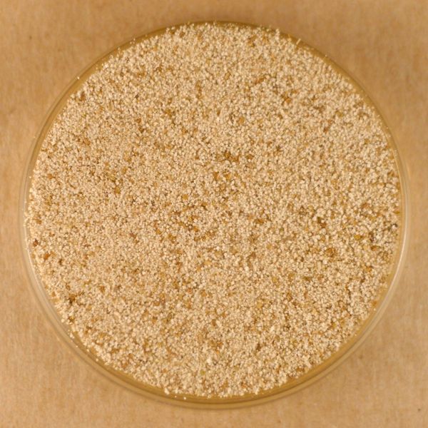 Celery Salt (16 oz)