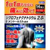 【第2類医薬品】ビーエスバンZXテープ 14枚