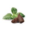 Dark Chocolate Mint Whole Bean 10oz Dessert Coffee Fresh Roasted