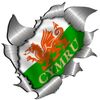 Extra Large size Welsh Flag Metal Rip Open Sticker