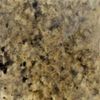Water-Based Concrete Stain Walttools 1 GAL Pro-Grade, Eco-Friendly (Old Plank)