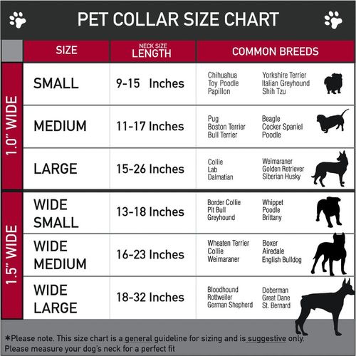 Dog Collar Seatbelt Buckle Love Love Pink 9 to 15 Inches 1.0 Inch Wide, DC-W31213-S