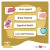 Same and Silybin for Dogs - S-Adenosyl L-Methionine, Liver and Brain Supplements