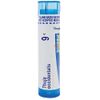 Boiron Thuja Occidentalis 9C Homeopathic Medicine for Painless Wart Removal - 80 Pellets