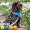 Ancol Viva Padded Snap Lead Blue 100 x 2.5cm