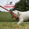 Tether Tug V2 Outdoor Dog Toy Interactive Tugging Pull Exercises Up To 70 lbs