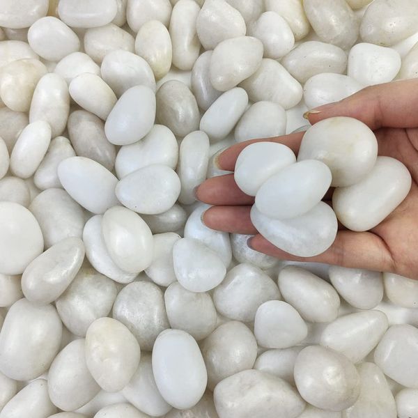 FANTIAN Small White Pebbles for Plants - 0.8-1.2 inch Decorative White River Rocks for Plants, Aquariums Rocks, Landscaping Rocks, White Stones for Planter Vase and Outdoor Garden Rocks 2 Pounds