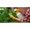 Dyna-Gro Neem Oil Irganic Leaf Polish 8 Ounce