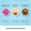 Ancient Nutrition Advanced Multi Collagen Protein Capsules Muscle, 90 Count