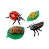 Insect Lore Ladybug Life Cycle - 4 PC Insect Figure Shows Life Of Lady Bug