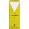 NESTMANN 40 Convallaria H Mischung, 100 ml Lösung