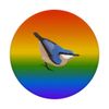 Nuthatch Rainbow Bird Birdwatcher Songbird Diversity PopSockets Swappable PopGrip