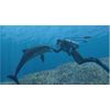 Endless Ocean: Dive, Discover, Dream (Renewed)