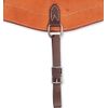 Martin Saddlery Biothane Flank Cinch Hobble Strap