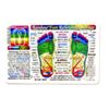 Set2: Rainbow® FOOT & HAND Reflexology/Acupressure Massage CARDS/SmChart-InnerLt