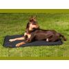 Back on Track Allround Dog Mattress 86 x 58 cm