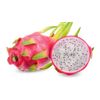 2 Dragon Fruit Fresh Cutting 6” Pitaya Cactus Live Plant No Root