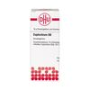 DHU Euphorbium D6 Streukügelchen, 10 g Globuli
