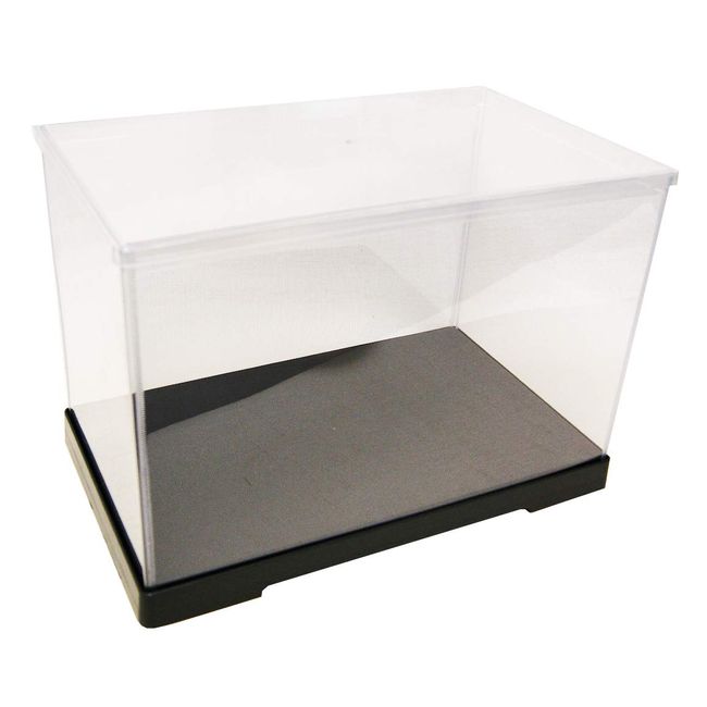 Fairyland Collection Case, Five-sided Clear Display Case