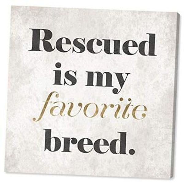 Typography and Quotes Wall Art Canvas Prints 'My Favorite Breed' Home Décor,