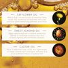 René hurutore-ru 5 Incense Oil 100ml