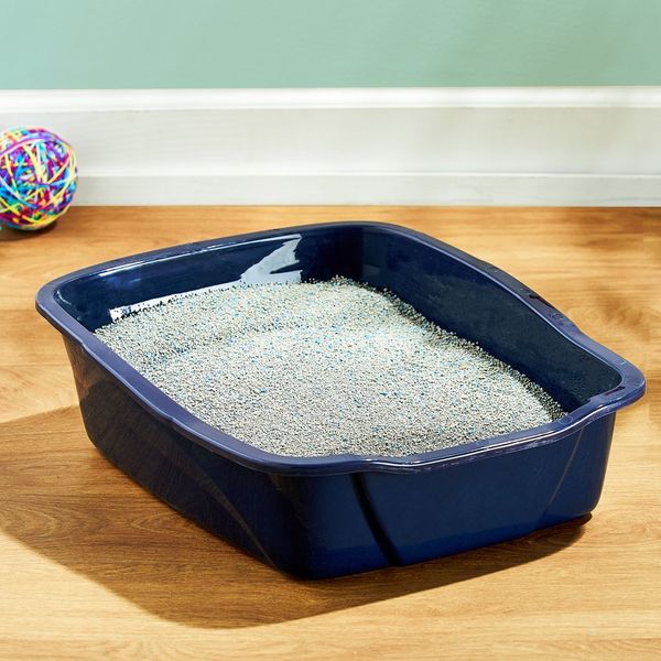 Large Open Pet Cat Litter Box Stain and Odor Resistant BPA Free Easy-To-Clean