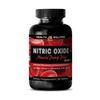 athletic performance enhancement supplement - NITRIC OXIDE 3150 - muscle lean 1B