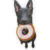 SPOT Tasty Donuts Plush Toy for Dogs 7.5"