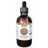 Yucca (Yucca glauca) Liquid Extract 2 fl.oz