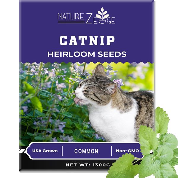 NatureZ Edge Catnip Seeds for Planting, 1700+ Herb Seeds, Indoor or Outdoor Growing, Your Cat Will Love Them, Non-GMO