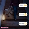The Glowhouse Premium Style PIR Motion Sensor LED Night Light