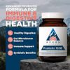 Advanced Probiotic Supplement for Gut Health 60 Count Digestive Support