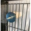 Polly's Cuttlebone & Calcium Perch - Large