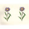 Purple Flowers Theme Decoupage Sheet
