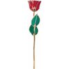 24k Gold Dipped Ruby Colored Lacquer Real Rose Valentine's Day Holiday Gift