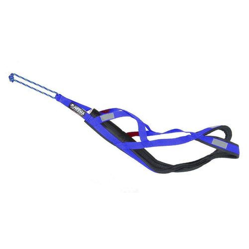 Neewa Pro Sled Dog Harness (Blue, X-Large (Neck 20 Chest 34 Back 23))