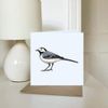 'Wagtail Bird' Blank Greeting Card (GC00051055)