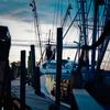 Color Film Process and Scan (35mm,120 Roll) C41 Process *Professional Service*
