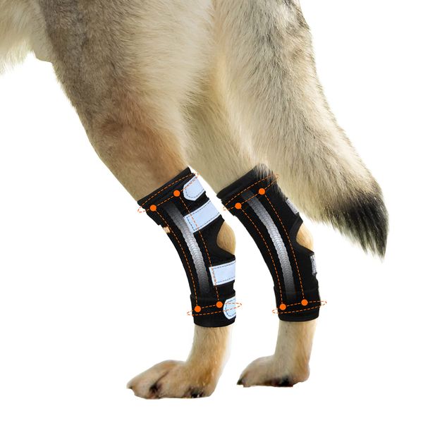 NeoAlly® - Rear Leg Hock Brace with Metal Spring Strips, Dog Leg Brace for Rear Leg, Hock & Ankle Support, Rear Dog Leg Brace for Large Dogs, Long Version, Medium, 1 Pair