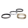 Hastings 2M5508045 Piston Ring Set