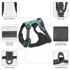 Cute Dachshund No Pull Dog Harness Adjustable Soft Padded Pet Vest with Easy Control Handle Large