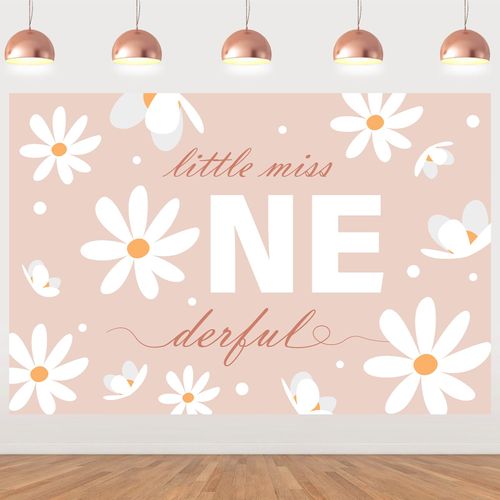 Cheereveal Pink Boho Daisy 1st Birthday Backdrop, Little Miss Onederful Banner, 5x3ft, Vinyl