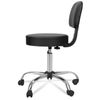 Swivel Salon Stool Multi-Purpose Drafting Spa Bar Stool with Back Cushion Black