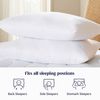 Doctor Pillow Luna Pedic Luxe Cloud 2 PACK Pillow | White.