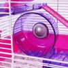 Rosewood Pico Exercise Hamster Wheel with Stand, Purple