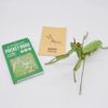 Tsukurundo ® Pocket Bugs (Colored Mantis Mantis Official Sales in Japan)