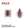 Raid Flea Killer Carpet & Room Spray, Kills Hatching Eggs for up to 4 months, 16 Oz