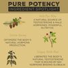 Surthrival Pine Pollen Pure Potency 1.69 Fl. Oz.
